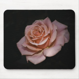 Rosa ros musmatta