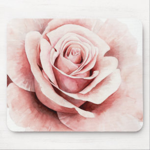 Rosa ros musmatta