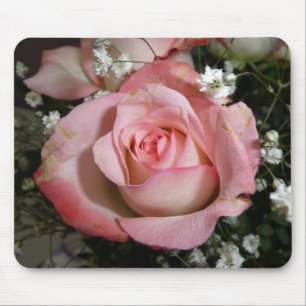 Rosa ros musmatta