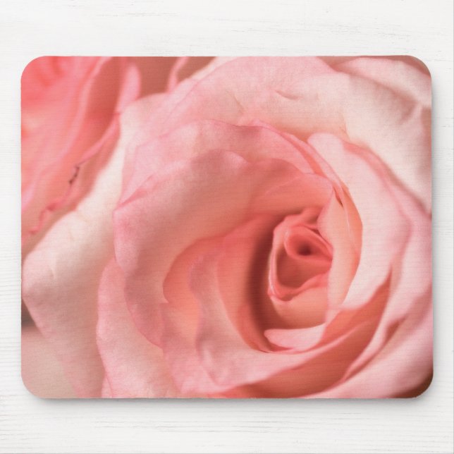 Rosa ros musmatta (Framsidan)