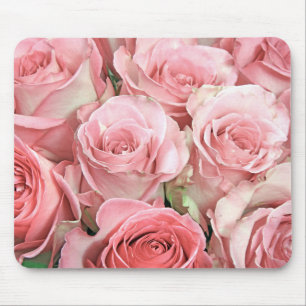 Rosa ros musmatta
