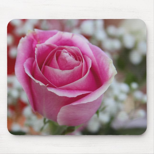 Rosa ros musmatta (Framsidan)