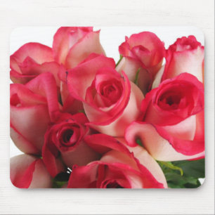 Rosa ros musmatta