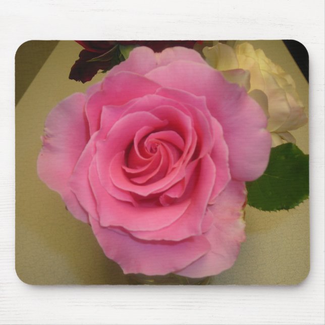 ROSA ROS MUSMATTA (Framsidan)