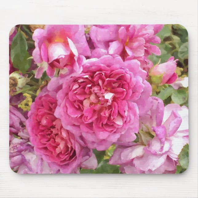 Rosa ros musmatta (Framsidan)