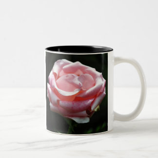Rosa ros nära Två-Tonad mugg