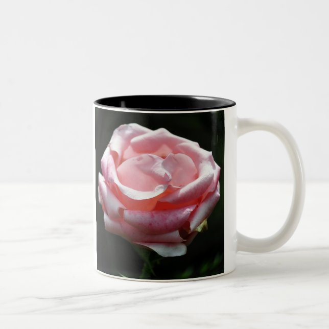 Rosa ros nära Två-Tonad mugg (Höger)
