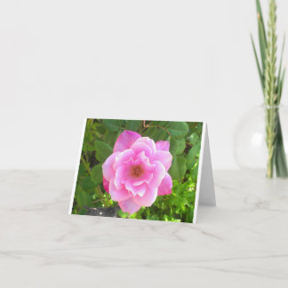 Rosa ros Notecard Kort