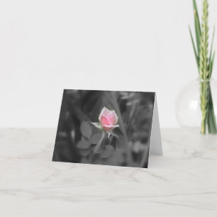 Rosa ros NoteCard (tom insida) Kort