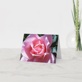 Rosa ros noterar kortet tack kort