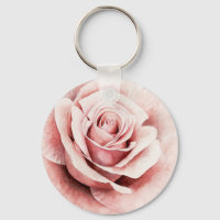 Rosa ros
