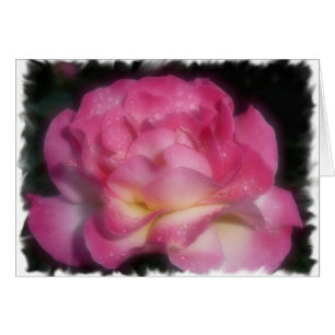 Rosa ros OBS kort