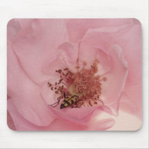 Rosa ros och en kryp-fotografi Mousepad Musmatta