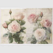 Rosa ros och Ephemera