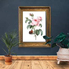 Rosa ros och fjäril poster
