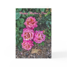 Rosa ros och Garden Glove - Mors dag