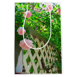 Rosa ros och Lattice - Martha's Vineyard