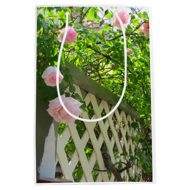 Rosa ros och Lattice - Martha's Vineyard (Framsidan)