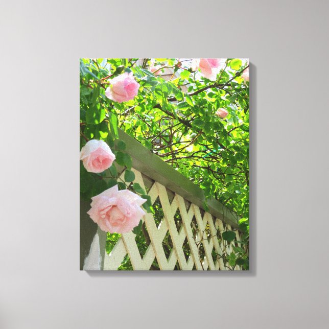 Rosa ros och Lattice - Martha's Vineyard Canvas (Framsida)