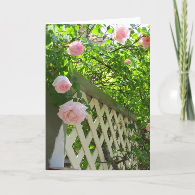 Rosa ros och Lattice - Martha's Vineyard Kort (Framsida)