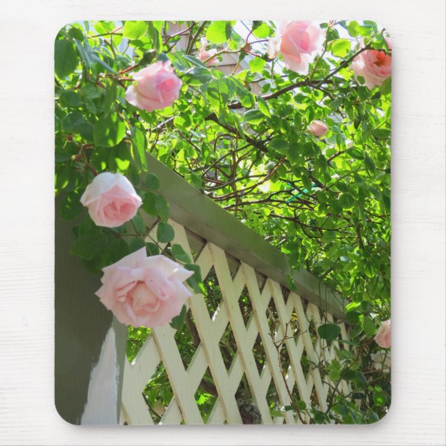 Rosa ros och Lattice - Martha's Vineyard Musmatta (Framsidan)