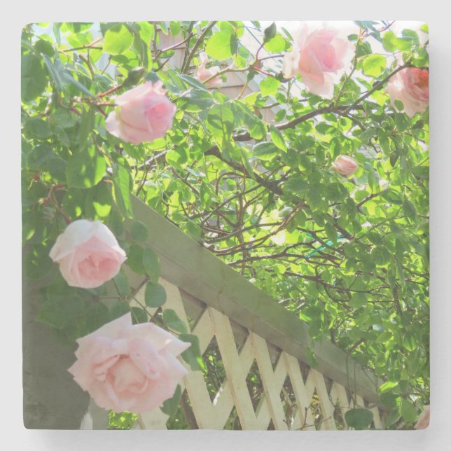 Rosa ros och Lattice - Martha's Vineyard Stenunderlägg (Framsidan)