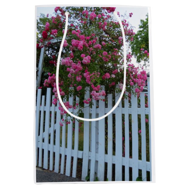 Rosa ros och Picket Fence - Martha's Vineyard (Framsidan)