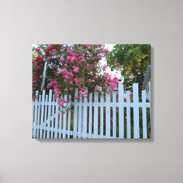 Rosa ros och Picket Fence - Martha's Vineyard Canvastryck