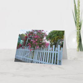 Rosa ros och Picket Fence - Martha's Vineyard Kort