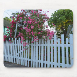 Rosa ros och Picket Fence - Martha's Vineyard Musmatta