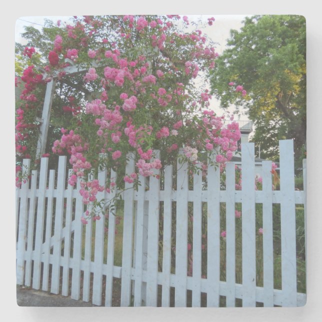 Rosa ros och Picket Fence - Martha's Vineyard Stenunderlägg (Framsidan)