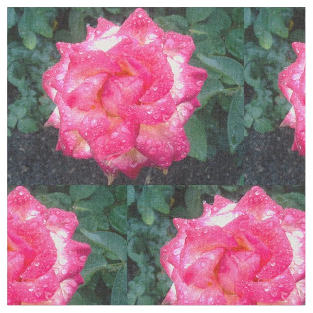 ROSA ROS och RAINDROPS Tyg (Närbild)