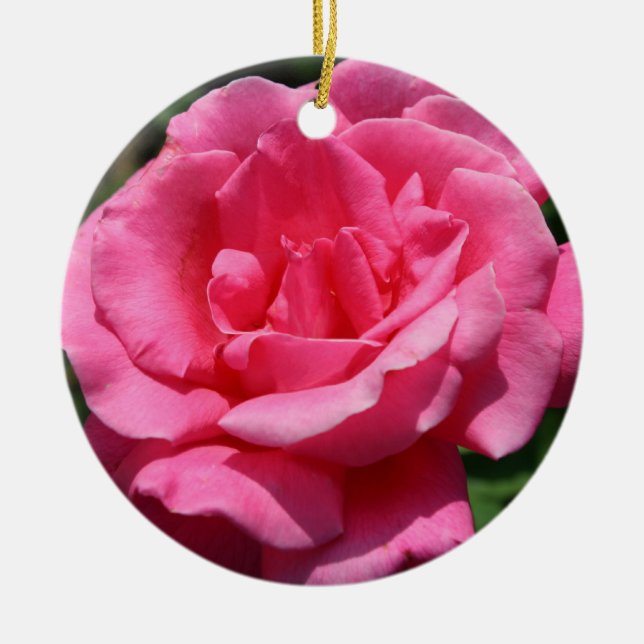 Rosa ros Ornament (Framsidan)