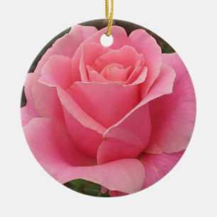 Rosa ros Ornament