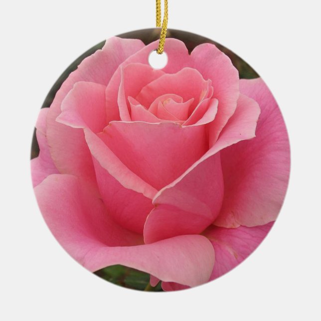Rosa ros Ornament (Framsidan)