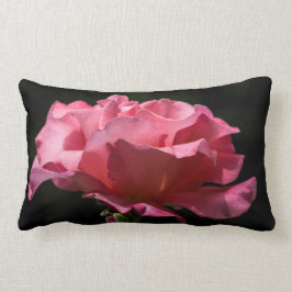 Rosa ros på den svart dekorativ kudde