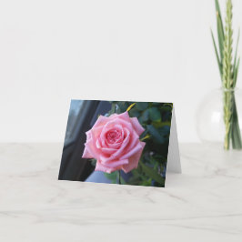 Rosa ros på ett tomt sedelkort tack kort