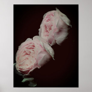 Rosa ros Pair Poster