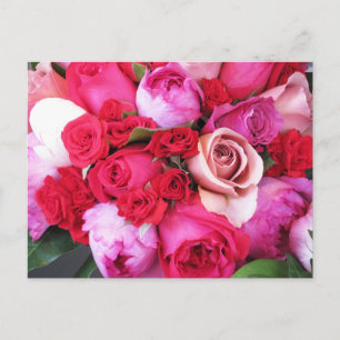 rosa ros Paris Vykort