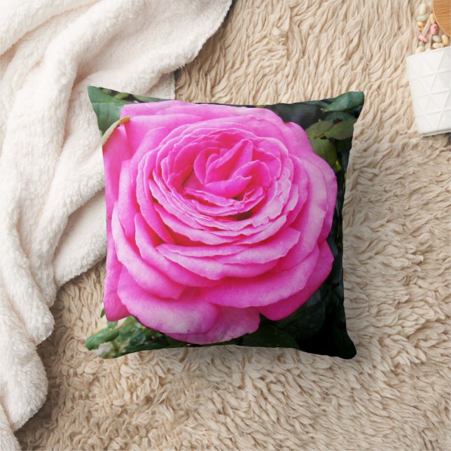 Rosa ros Passion. Kudde (Filt)