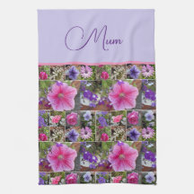 Rosa ros Penunia Daisy Flowers Blommigt Mors dag