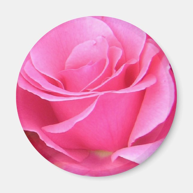 Rosa ros Petals anpassade magnet (Framsidan)