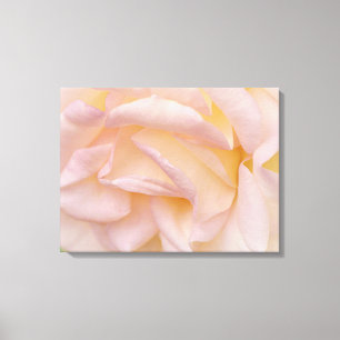 Rosa ros Petals Blommigt Art Canvas