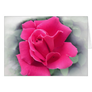 Rosa ros Petals Hälsningskort