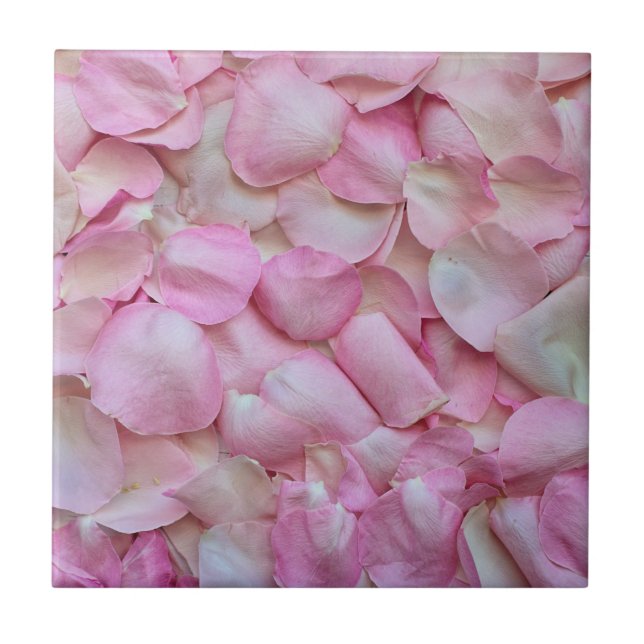 Rosa ros Petals Kakelplatta (Framsidan)