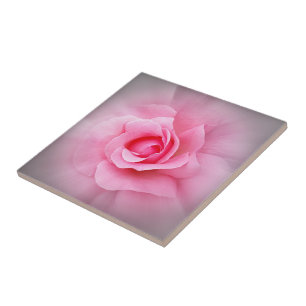 Rosa ros petals kakelplatta