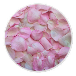 Rosa ros Petals Knopp