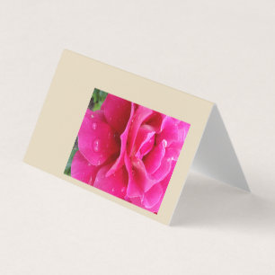 rosa ros petals kort
