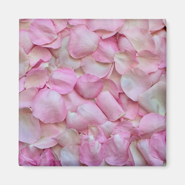 Rosa ros Petals Magnet (Framsidan)