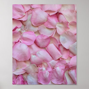 Rosa ros Petals Poster